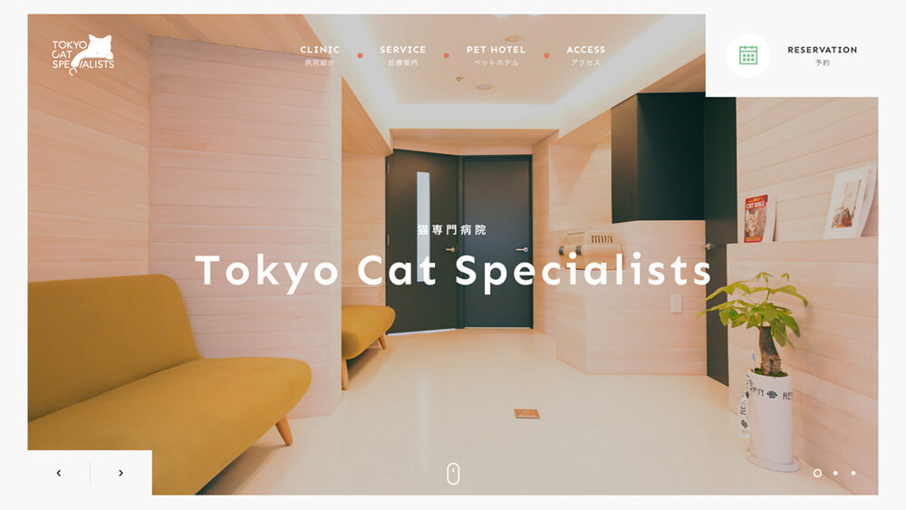 Tokyo Cat Specialists | 猫の専門病院