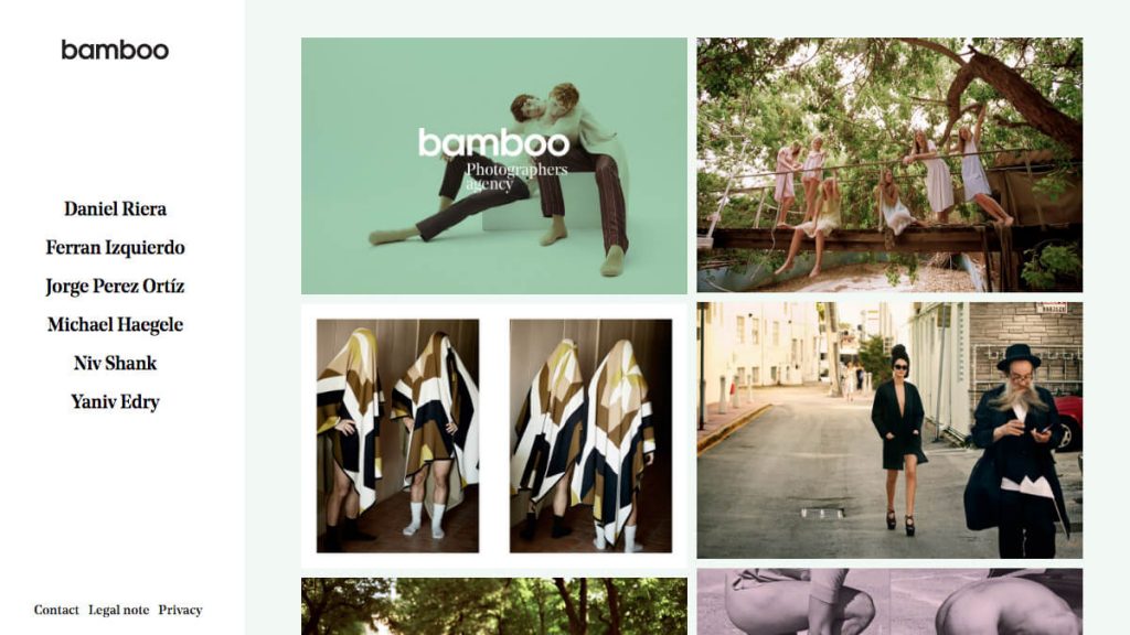 bamboo – photographers agency